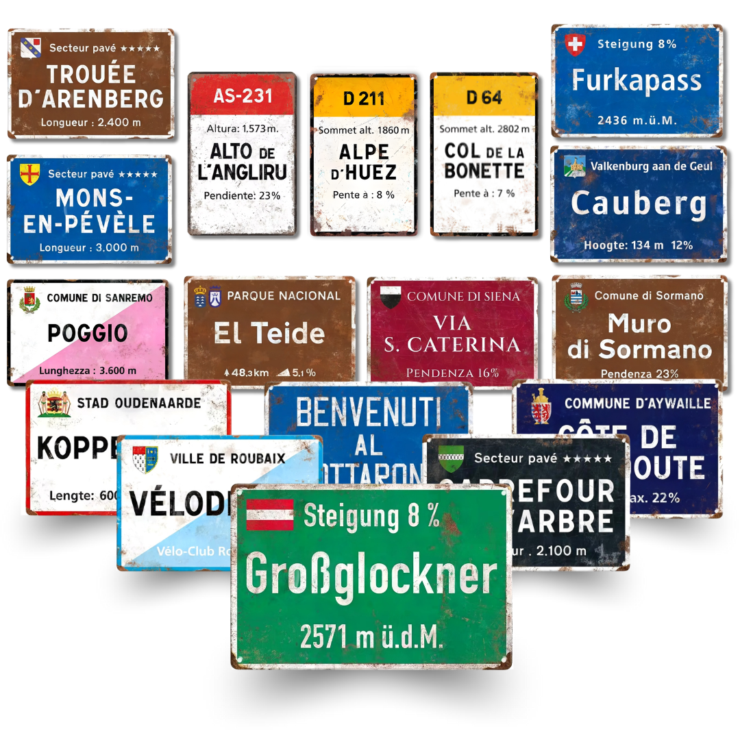 Collection of various road signs with different languages and information on a white background