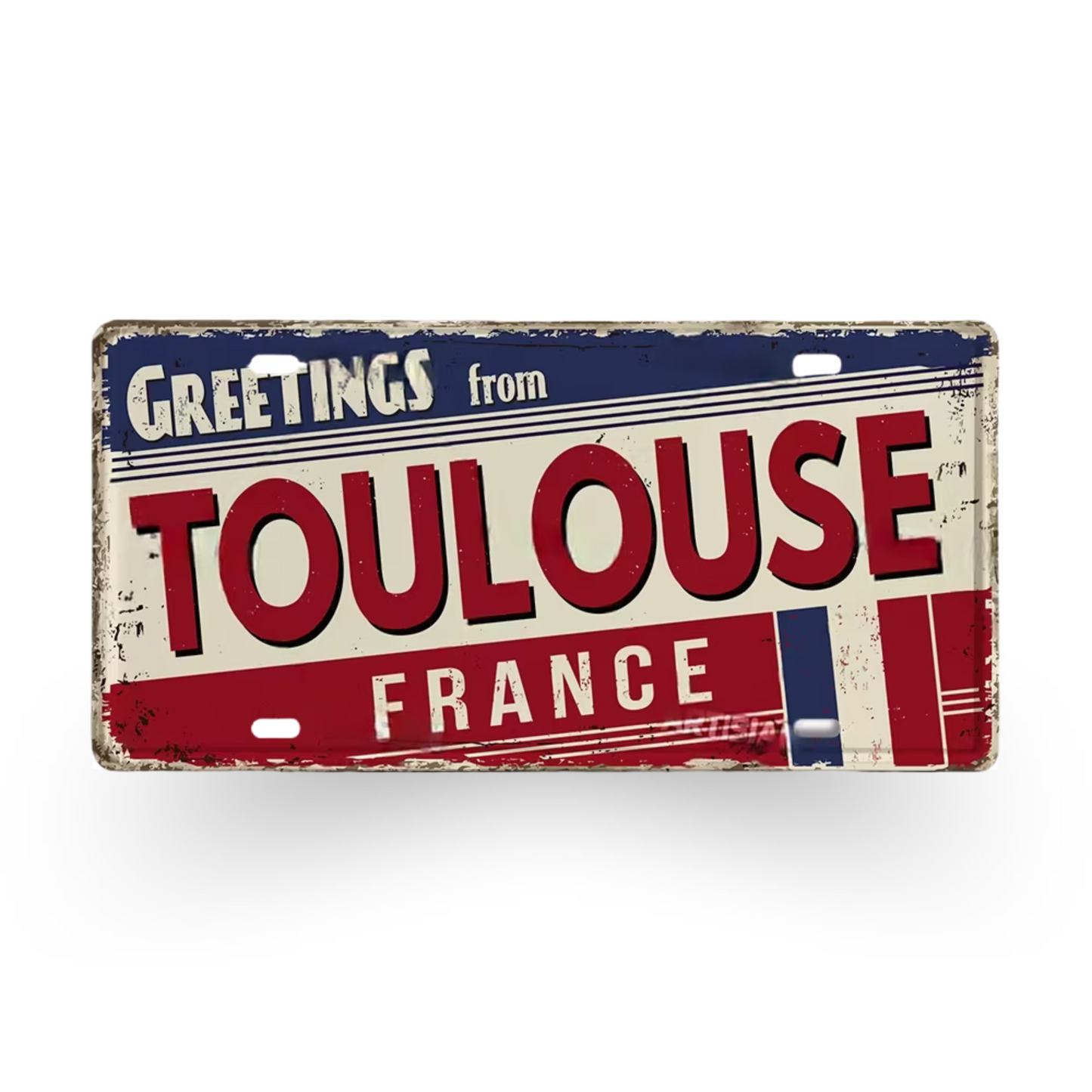 France & Switzerland License Plate Metal Sign • French Swiss City State Province Decorative Plaque Wall Hanging • Euro Trip Gift Souvenir • Papagaio Studio Online Shop