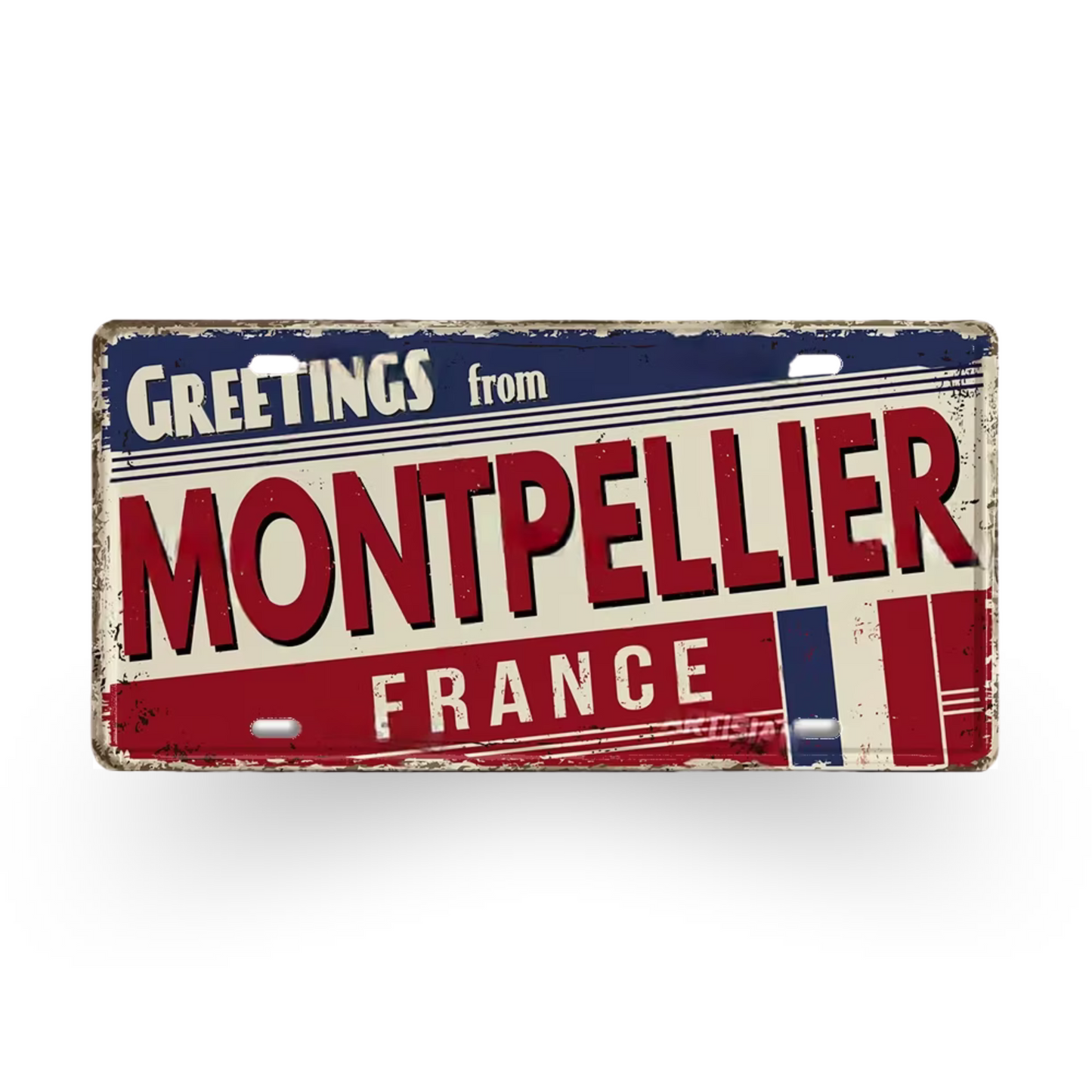 France & Switzerland License Plate Metal Sign • French Swiss City State Province Decorative Plaque Wall Hanging • Euro Trip Gift Souvenir • Papagaio Studio Online Shop