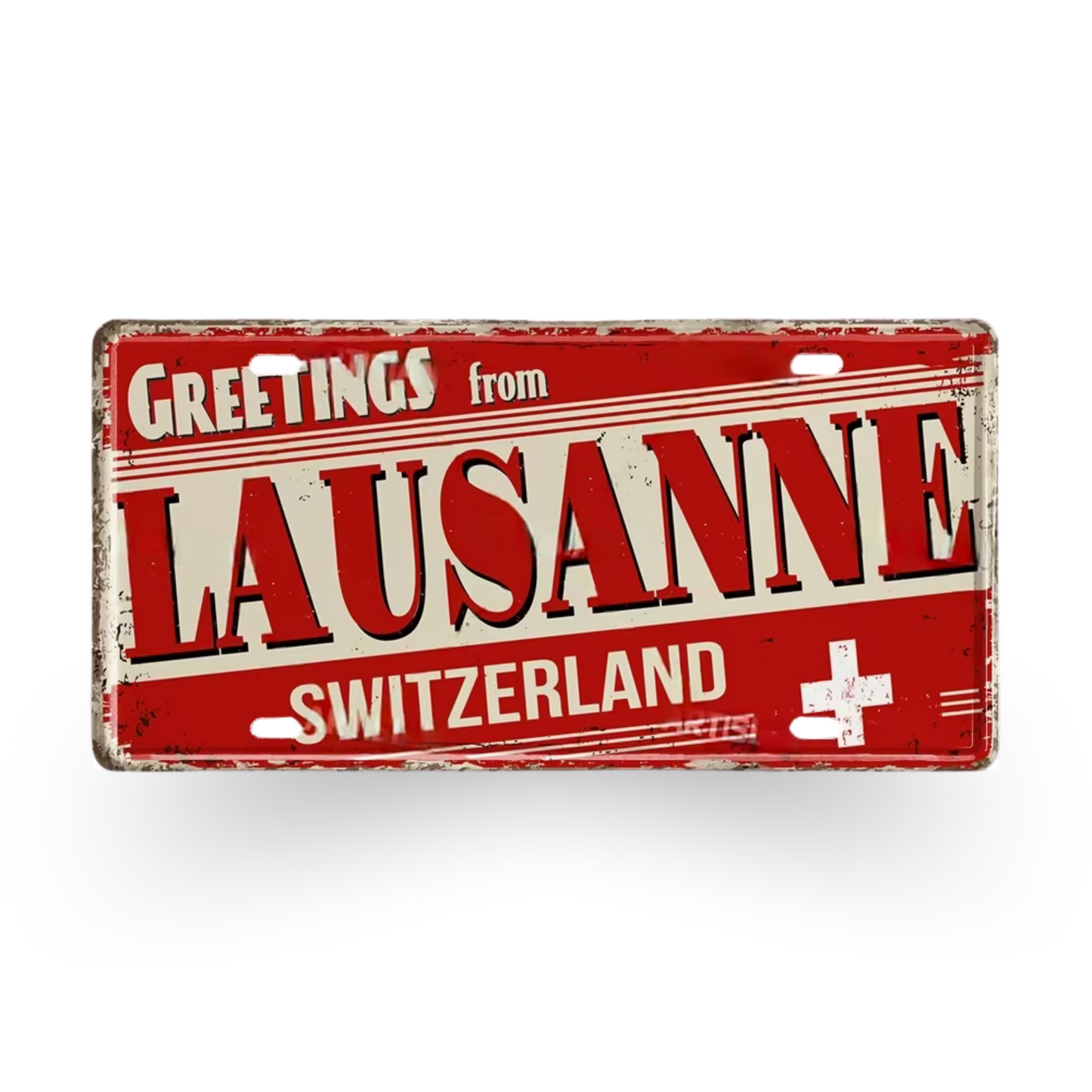 France & Switzerland License Plate Metal Sign • French Swiss City State Province Decorative Plaque Wall Hanging • Euro Trip Gift Souvenir • Papagaio Studio Online Shop