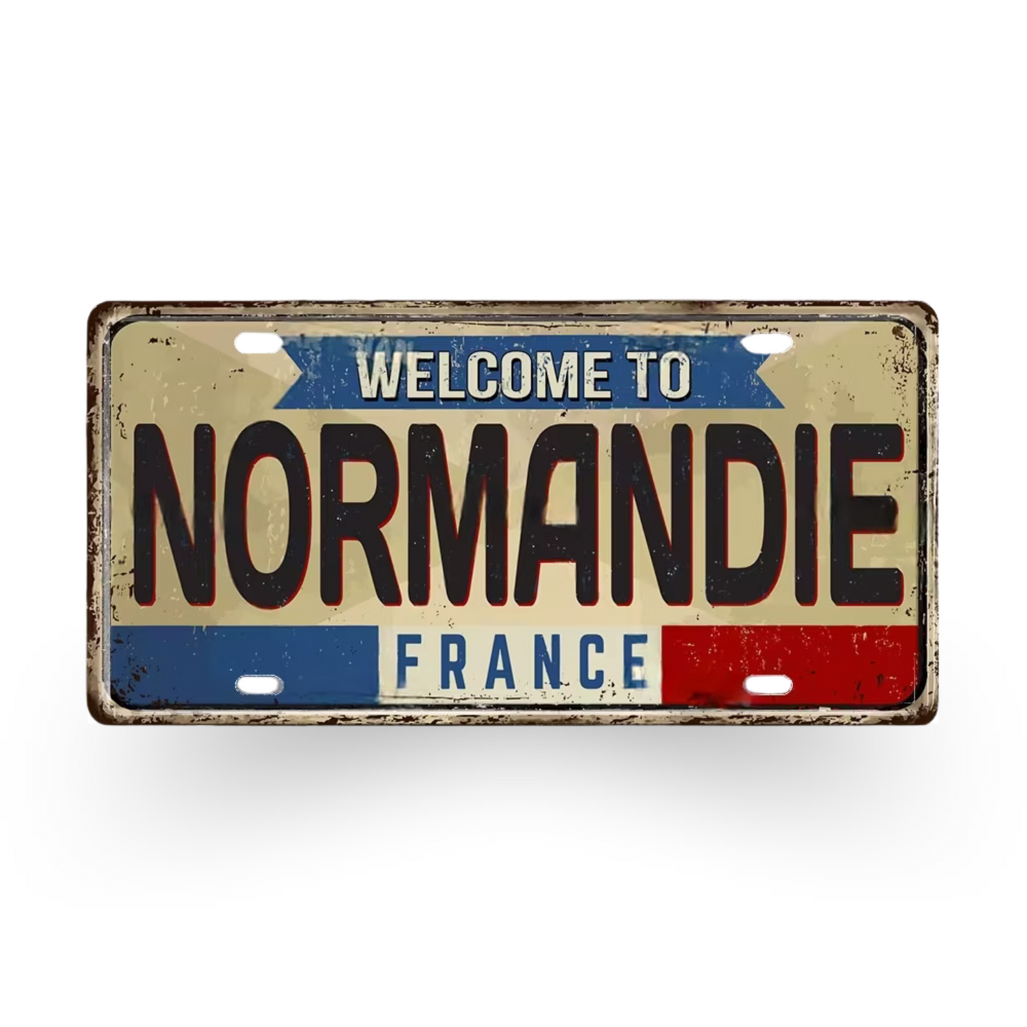France & Switzerland License Plate Metal Sign • French Swiss City State Province Decorative Plaque Wall Hanging • Euro Trip Gift Souvenir • Papagaio Studio Online Shop