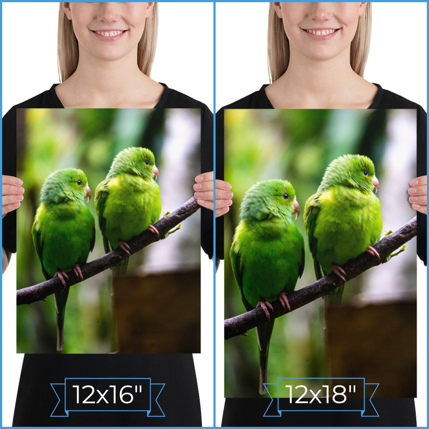 Brazil Birds Photography Poster • Brazilian Green Parrots Art Decor Gift For Bird Lovers • Fine Art Print For Tropical Home Decoration