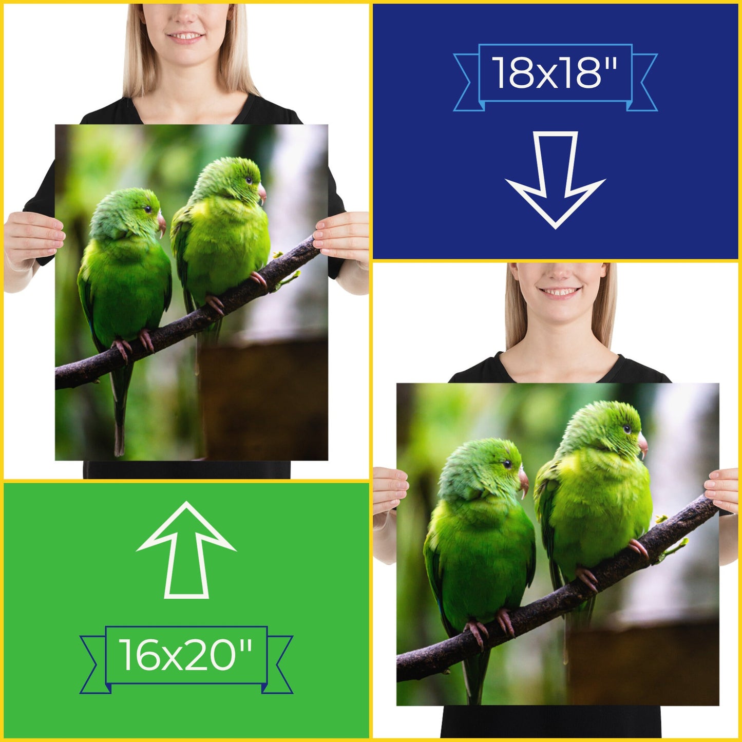 Brazil Birds Photography Poster • Brazilian Green Parrots Art Decor Gift For Bird Lovers • Fine Art Print For Tropical Home Decoration