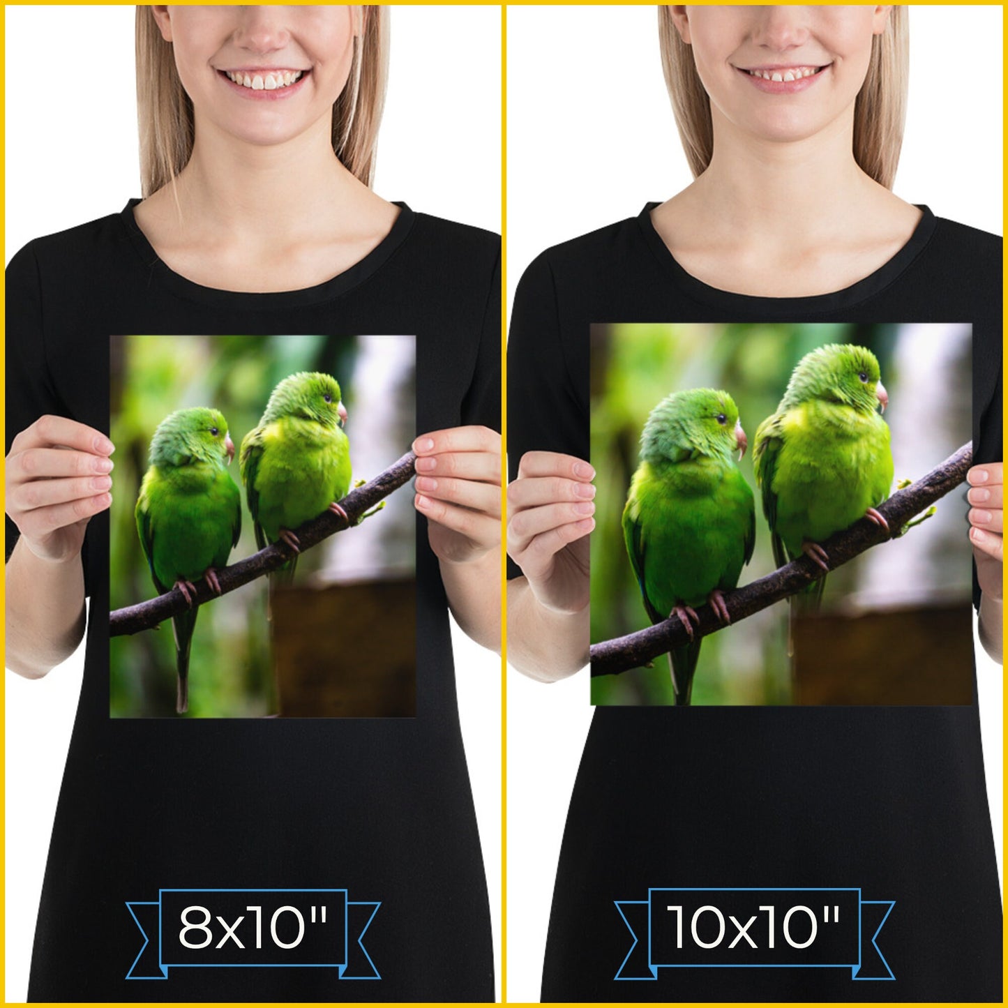 Brazil Birds Photography Poster • Brazilian Green Parrots Art Decor Gift For Bird Lovers • Fine Art Print For Tropical Home Decoration