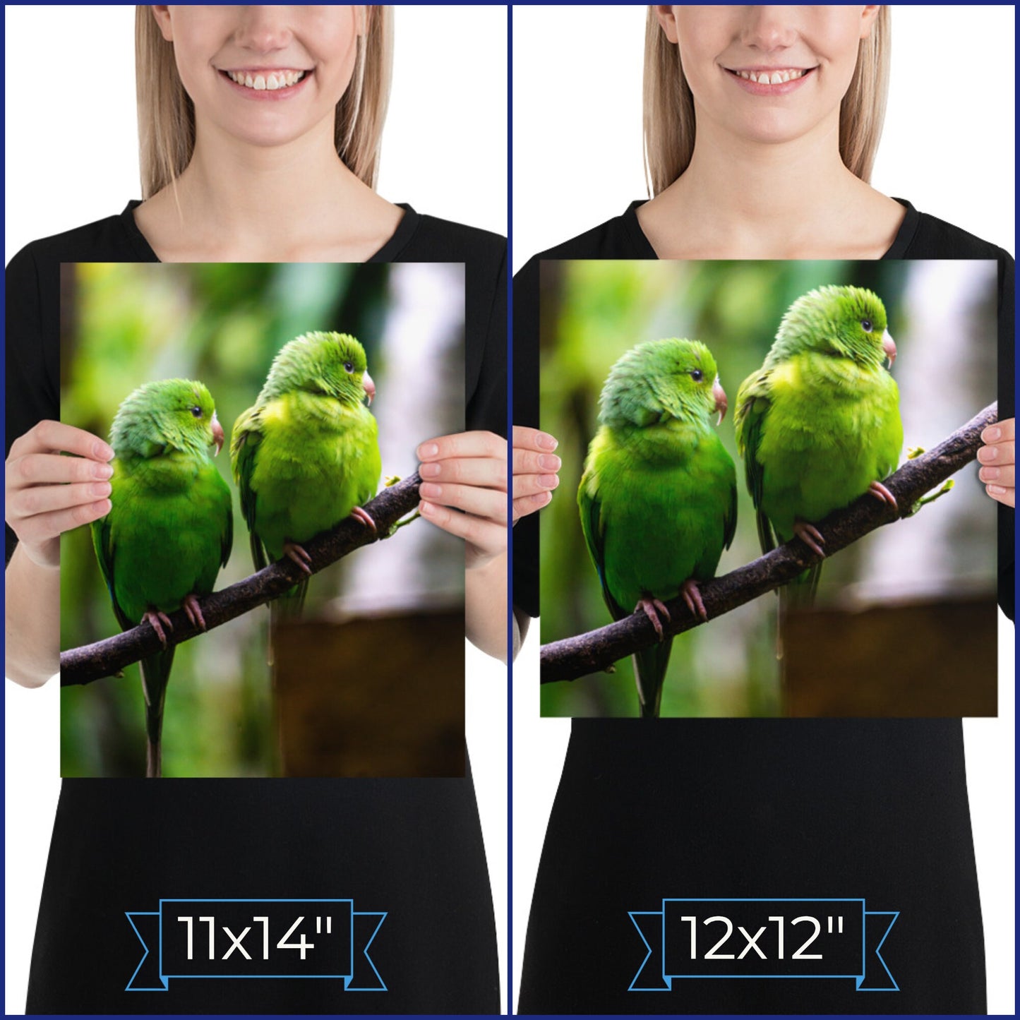 Brazil Birds Photography Poster • Brazilian Green Parrots Art Decor Gift For Bird Lovers • Fine Art Print For Tropical Home Decoration