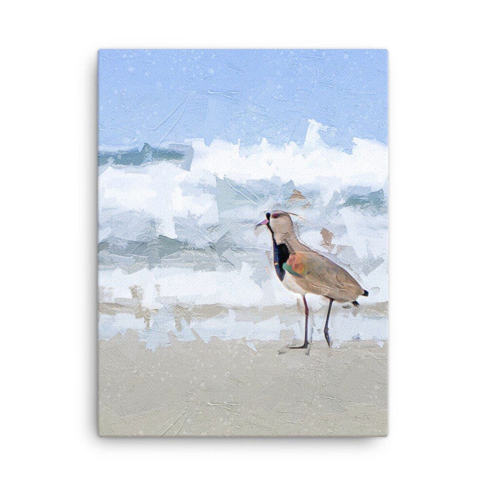 Beach & Coastal Impressionist Painting Of Lapwing Bird At Seaside ∙ Brazil Animal Tropical Decor Unframed Canvas ∙ Brazilian Classic Modern Digital Print ∙ Ready To Hang Wall Art ∙ Papagaio Studio Online Shop