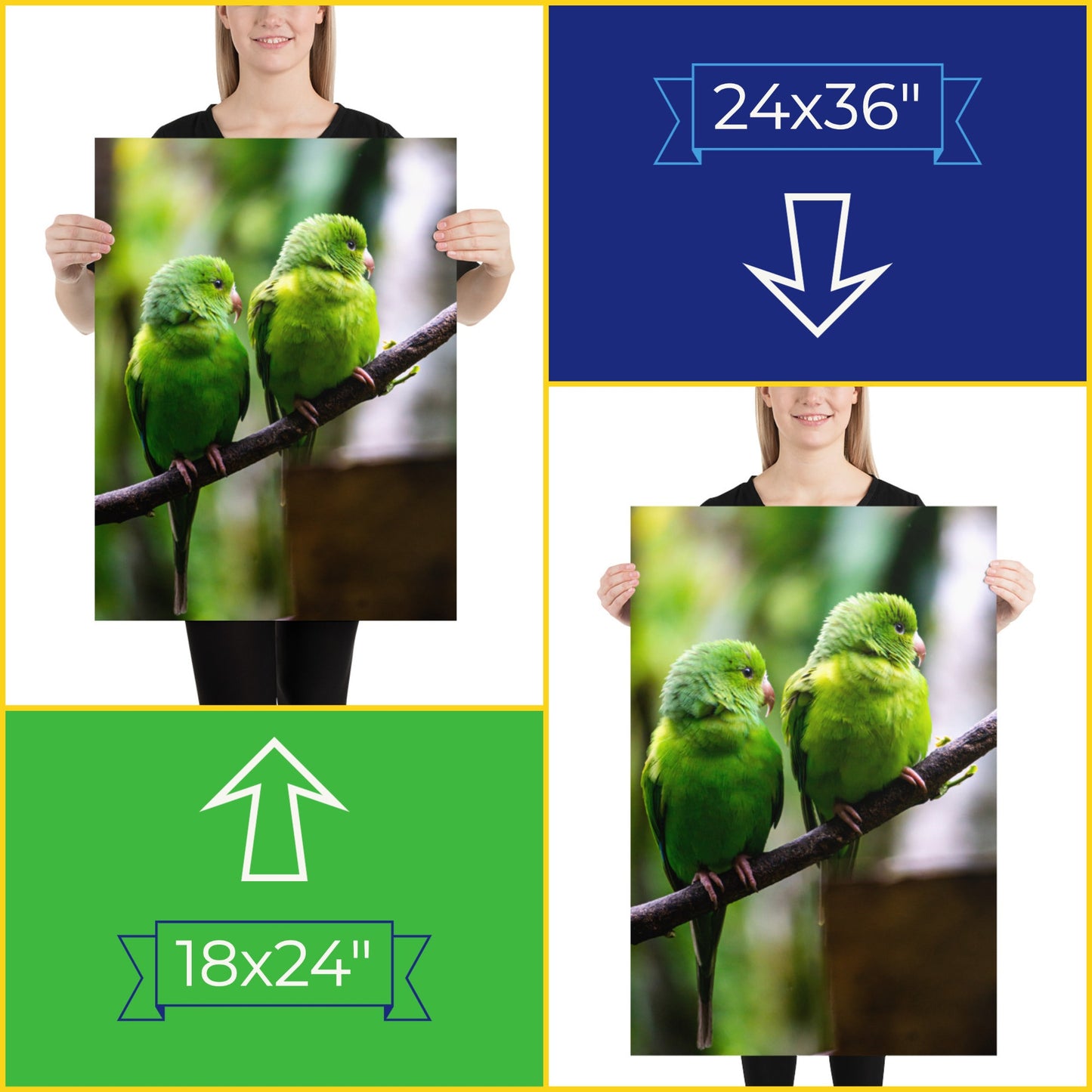 Brazil Birds Photography Poster | Brazilian Green Parrots Art Decor Gift For Bird Lovers | Fine Art Print For Tropical Home Style | Leo inglesi Studio Etsy Shop