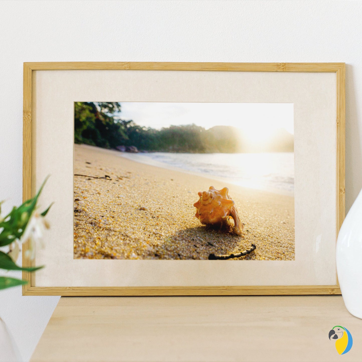 Photo Of A Seashell On A Brazilian Beach Paper Poster | Ocean Photography Wall Art For Coastal Seaside Decor | Original Sun Sea Photograph | Papagaio Studio Etsy Shop