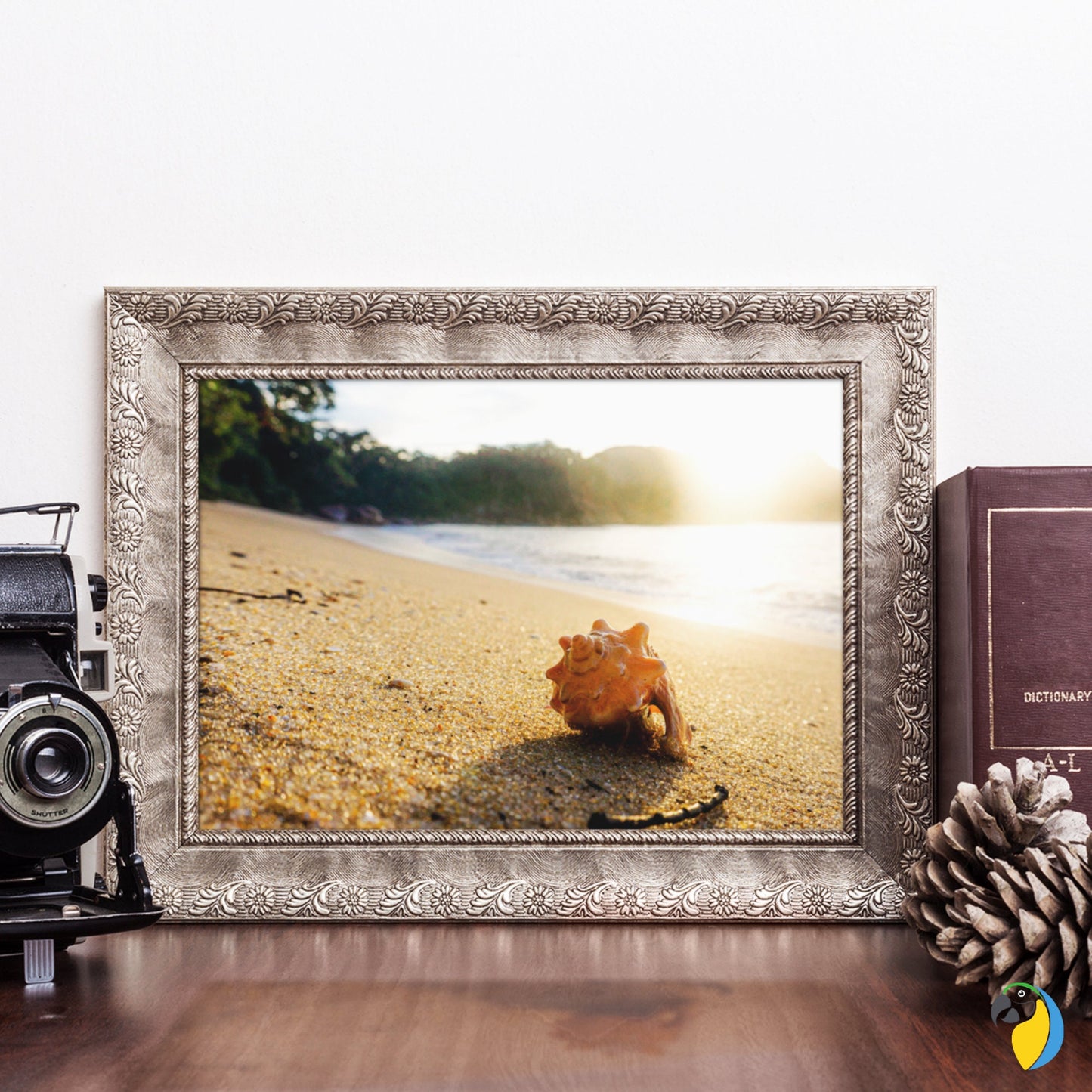 Photo Of A Seashell On A Brazilian Beach Paper Poster | Ocean Photography Wall Art For Coastal Seaside Decor | Original Sun Sea Photograph | Papagaio Studio Etsy Shop