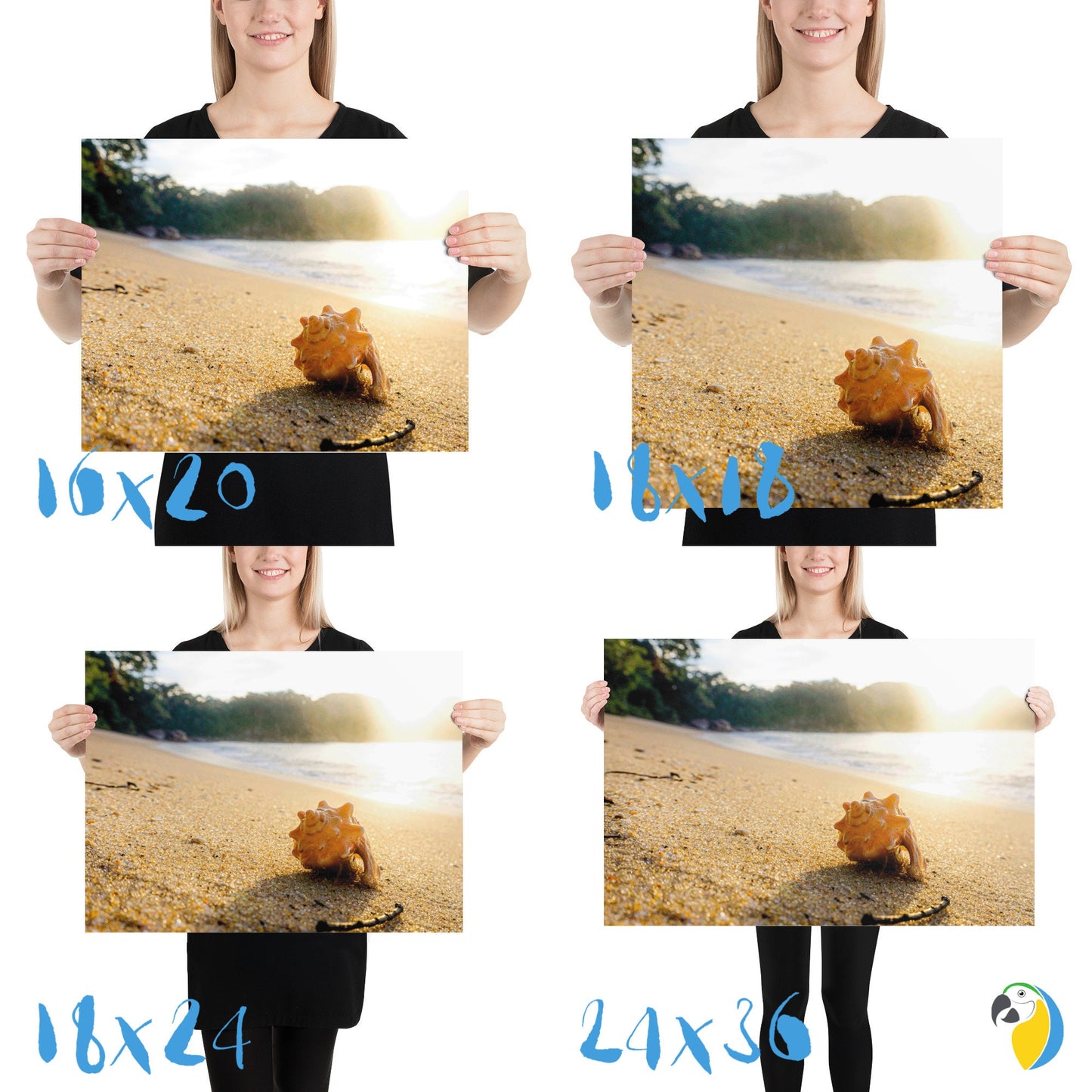 Photo Of A Seashell On A Brazilian Beach Paper Poster | Ocean Photography Wall Art For Coastal Seaside Decor | Original Sun Sea Photograph | Papagaio Studio Etsy Shop