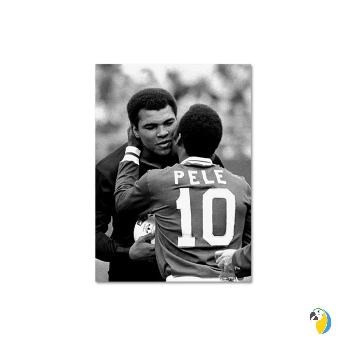 Pele Poster | The King Of Football Digital Print | Brazilian Legend Wall Decor | Brazil Soccer Vintage Canvas | Sports Fan Photography Art | Papagaio Studio Etsy Shop