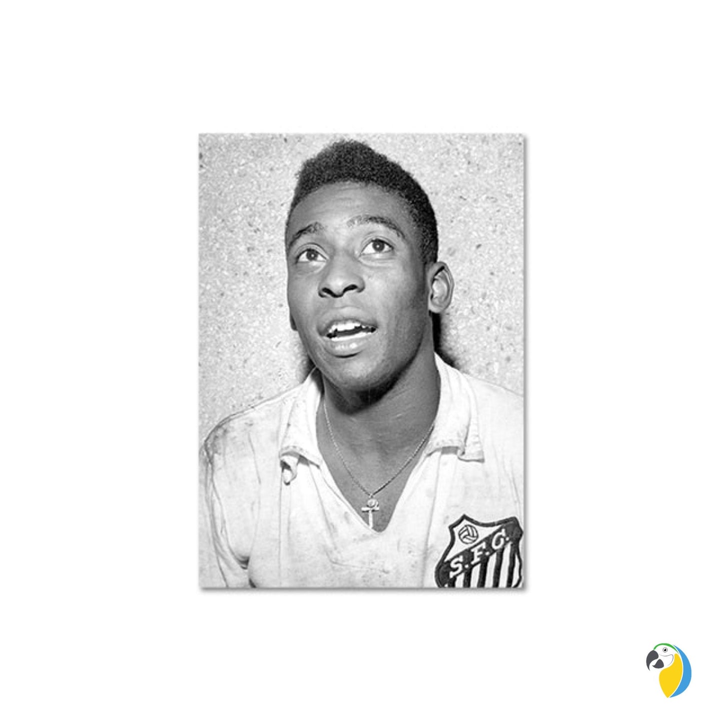 Pele Poster | The King Of Football Digital Print | Brazilian Legend Wall Decor | Brazil Soccer Vintage Canvas | Sports Fan Photography Art | Papagaio Studio Etsy Shop