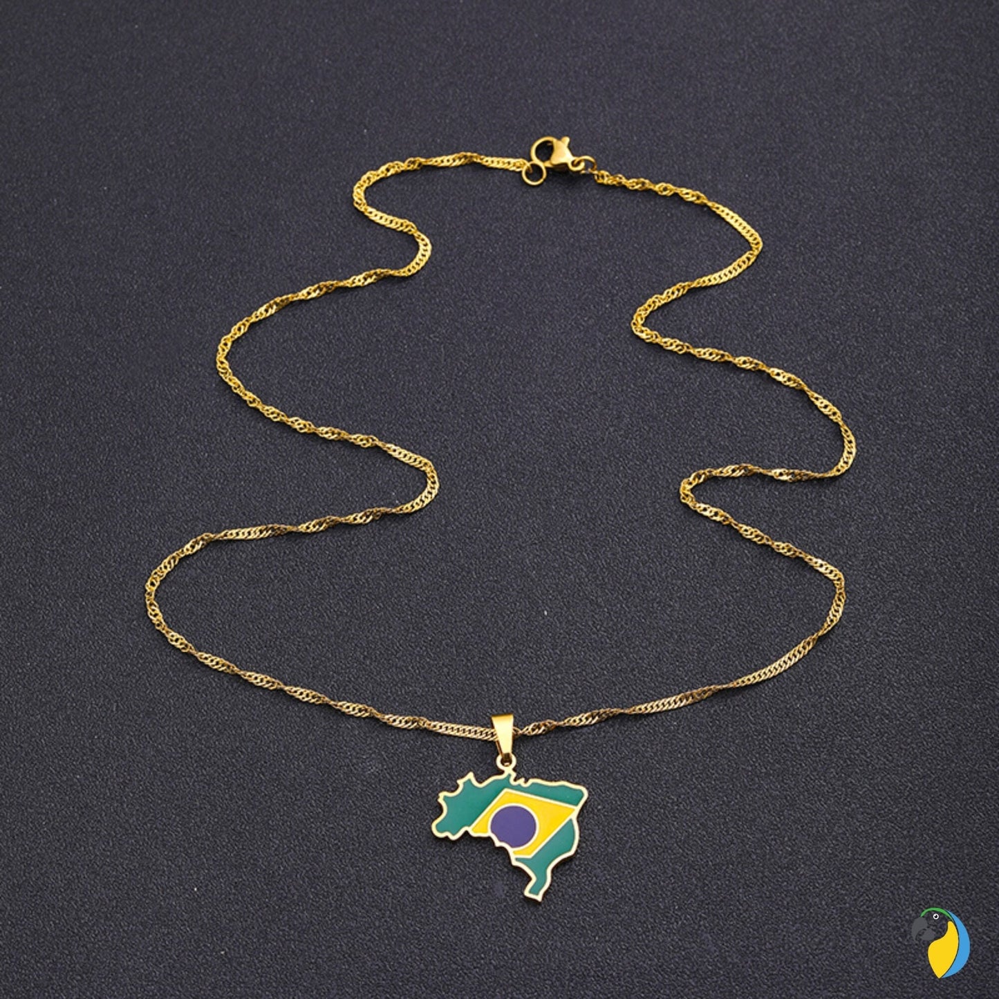 Brazil Map Necklace | Silver Or Gold-Plated Stainless Steel Pendant Of Brazilian National Flag | South American Jewelry Gift For Sports Fan | Papagaio Studio Etsy Shop