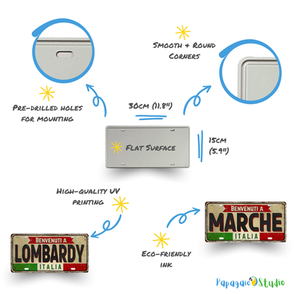 License plate with features highlighted on a white background