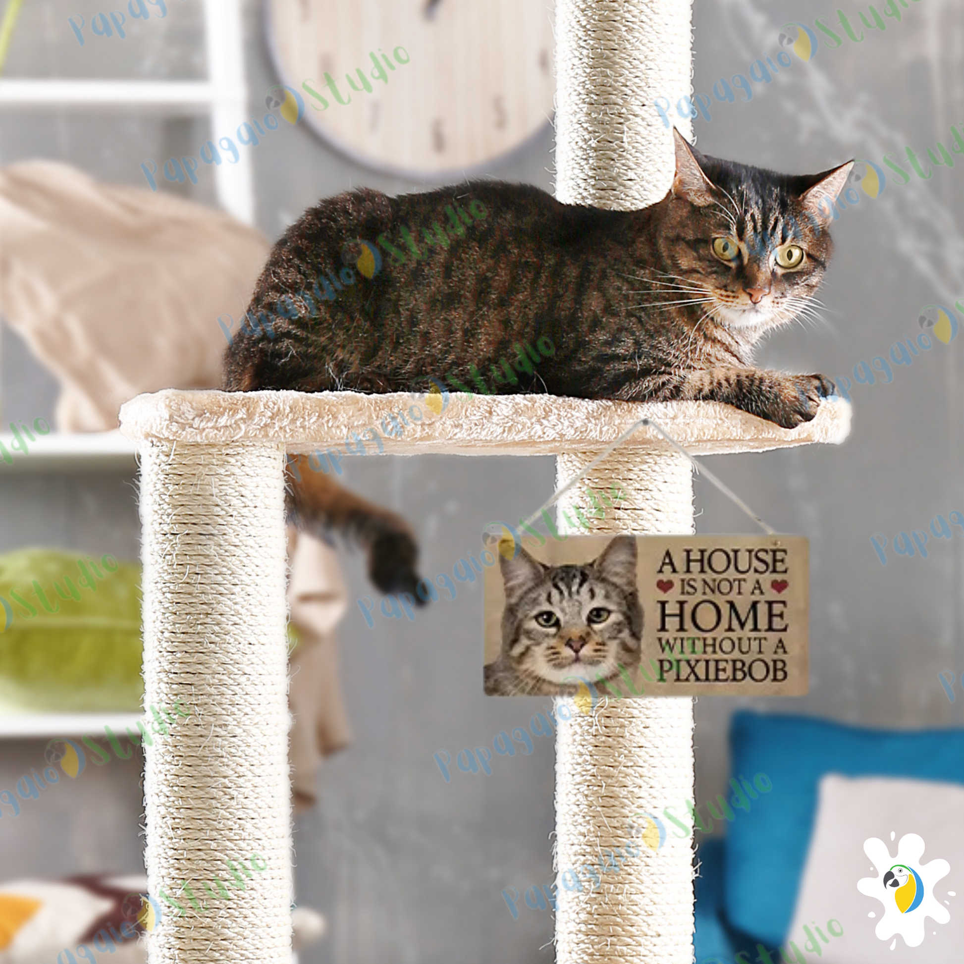 Home Cat Wooden Sign • Pet Lovers Quote Wood Print • "A House Is Not A Home Without A... Cat Breed" Wall Hanging Decor Plaque • Papagaio Studio Design Shop