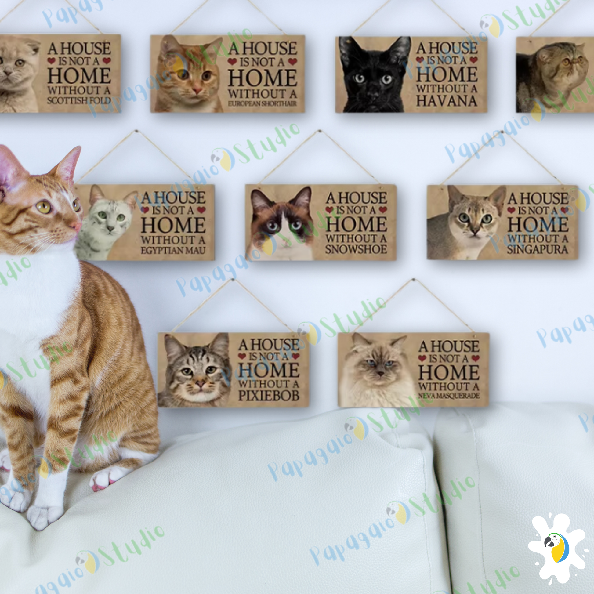 Home Cat Wooden Sign • Pet Lovers Quote Wood Print • "A House Is Not A Home Without A... Cat Breed" Wall Hanging Decor Plaque • Papagaio Studio Design Shop
