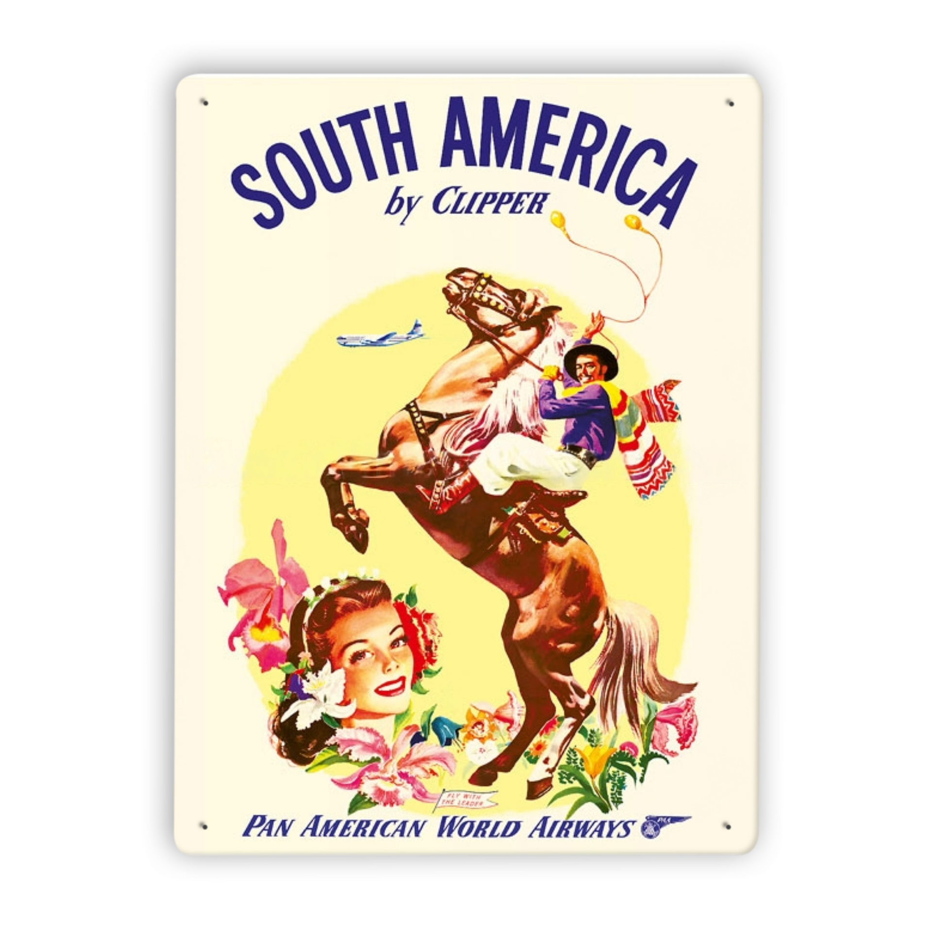 Pan Am Brazil South America Vintage Metal Posters • Papagaio Studio