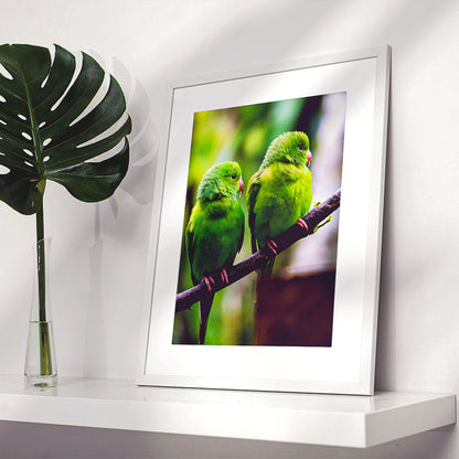 Brazil Birds Photography Poster | Brazilian Green Parrots Art Decor Gift For Bird Lovers | Fine Art Print For Tropical Home Style