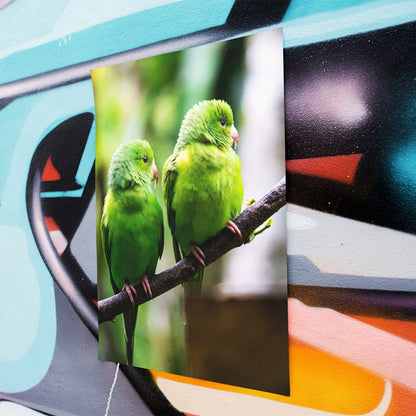 Brazil Birds Photography Poster | Brazilian Green Parrots Art Decor Gift For Bird Lovers | Fine Art Print For Tropical Home Style | Leo inglesi Studio Etsy Shop