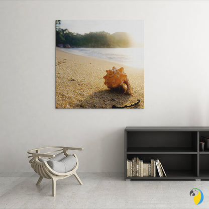 Photo Of A Seashell On A Brazilian Beach Paper Poster | Ocean Photography Wall Art For Coastal Seaside Decor | Original Sun Sea Photograph | Papagaio Studio Etsy Shop